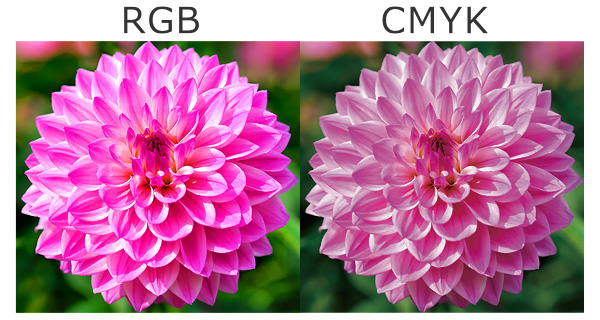 RGBカラーの花の写真とCMYKカラーの花の写真